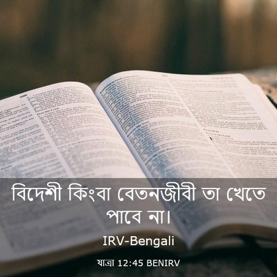 Picture 03 - যাত্ৰা 12:45 BENIRV - বিদেশী কিংবা - Bible Verse Picture