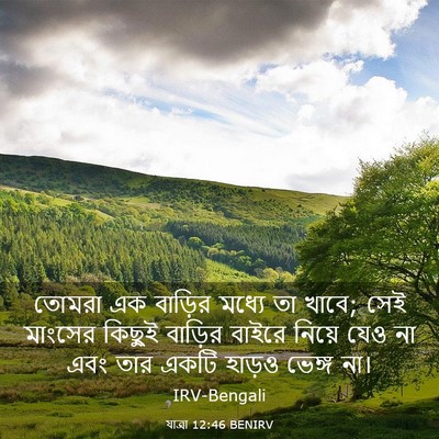 Picture 03 - যাত্ৰা 12:46 BENIRV - তোমরা এক বাড়ির - Bible Verse Picture
