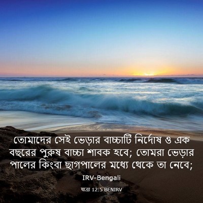 Picture 03 - যাত্ৰা 12:5 BENIRV - তোমাদের সেই - Bible Verse Picture