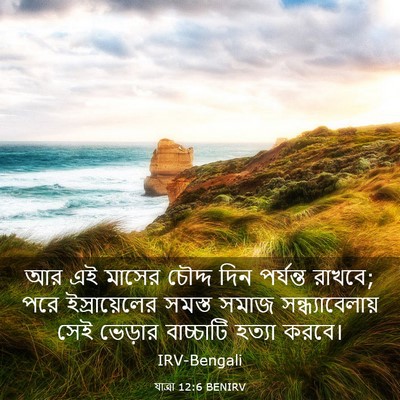 Picture 03 - যাত্ৰা 12:6 BENIRV - আর এই মাসের চৌদ্দ - Bible Verse Picture