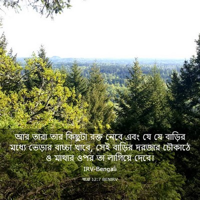 Picture 03 - যাত্ৰা 12:7 BENIRV - আর তারা তার কিছুটা - Bible Verse Picture
