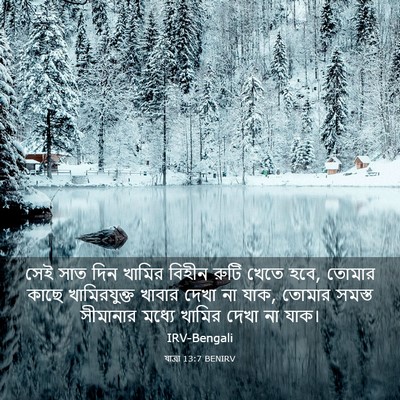Picture 03 - যাত্ৰা 13:7 BENIRV - সেই সাত দিন খামির - Bible Verse Picture