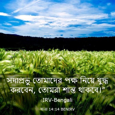 Picture 03 - যাত্ৰা 14:14 BENIRV - সদাপ্রভু তোমাদের - Bible Verse Picture
