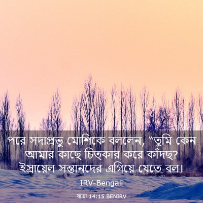 Picture 03 - যাত্ৰা 14:15 BENIRV - পরে সদাপ্রভু - Bible Verse Picture