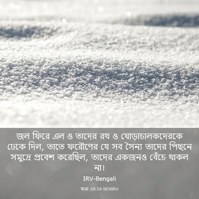 Picture 03 - যাত্ৰা 14:28 BENIRV - জল ফিরে এল ও তাদের - Bible Verse Picture
