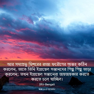 Picture 03 - যাত্ৰা 14:8 BENIRV - আর সদাপ্রভু - Bible Verse Picture
