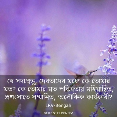 Picture 03 - যাত্ৰা 15:11 BENIRV - হে সদাপ্রভু, - Bible Verse Picture