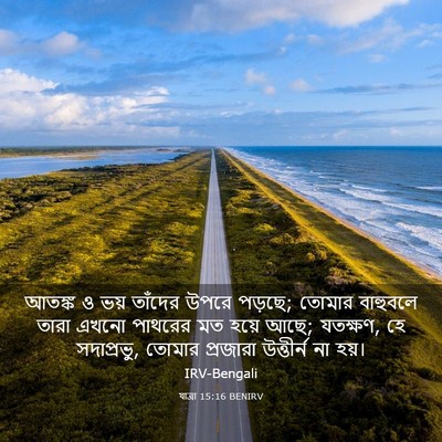 Picture 03 - যাত্ৰা 15:16 BENIRV - আতঙ্ক ও ভয় তাঁদের - Bible Verse Picture