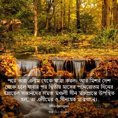 Picture 03 - যাত্ৰা 16:1 BENIRV - পরে তারা এলীম থেকে - Bible Verse Picture