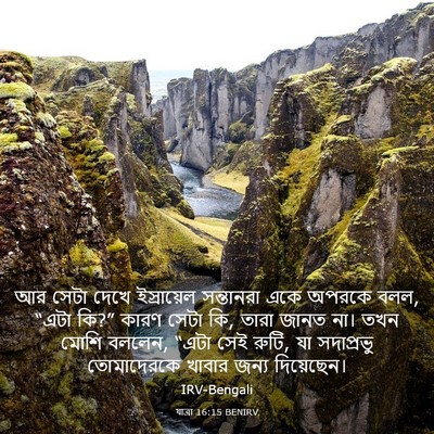 Picture 03 - যাত্ৰা 16:15 BENIRV - আর সেটা দেখে - Bible Verse Picture