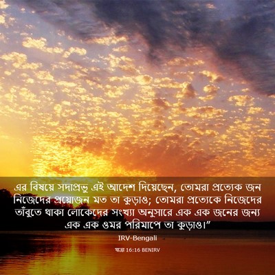 Picture 03 - যাত্ৰা 16:16 BENIRV - এর বিষয়ে - Bible Verse Picture