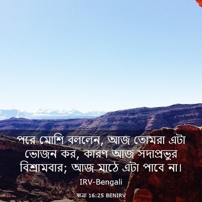 Picture 03 - যাত্ৰা 16:25 BENIRV - পরে মোশি বললেন, আজ - Bible Verse Picture