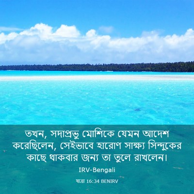 Picture 03 - যাত্ৰা 16:34 BENIRV - তখন, সদাপ্রভু - Bible Verse Picture