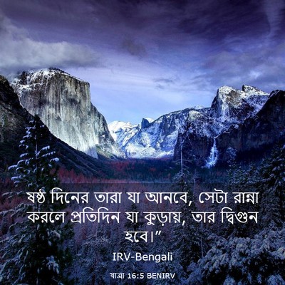 Picture 03 - যাত্ৰা 16:5 BENIRV - ষষ্ঠ দিনের তারা যা - Bible Verse Picture