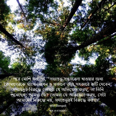 Picture 03 - যাত্ৰা 16:8 BENIRV - পরে মোশি বললেন, - Bible Verse Picture