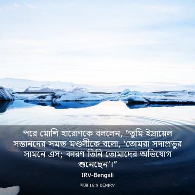 Picture 03 - যাত্ৰা 16:9 BENIRV - পরে মোশি হারোণকে - Bible Verse Picture