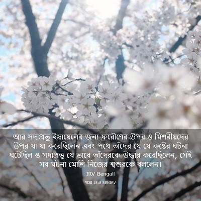 Picture 03 - যাত্ৰা 18:8 BENIRV - আর সদাপ্রভু - Bible Verse Picture