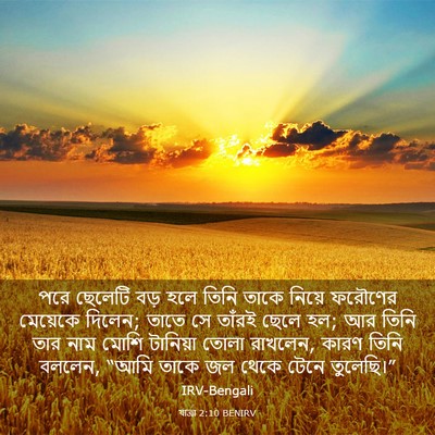 Picture 03 - যাত্ৰা 2:10 BENIRV - পরে ছেলেটি বড় হলে - Bible Verse Picture