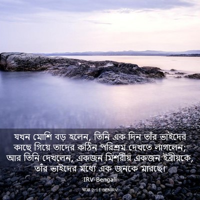 Picture 03 - যাত্ৰা 2:11 BENIRV - যখন মোশি বড় হলেন, - Bible Verse Picture