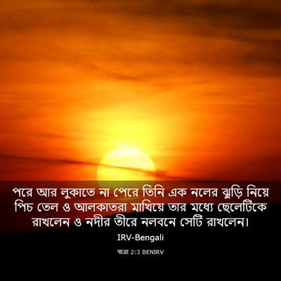 Picture 03 - যাত্ৰা 2:3 BENIRV - পরে আর লুকাতে না - Bible Verse Picture