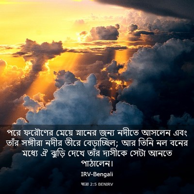 Picture 03 - যাত্ৰা 2:5 BENIRV - পরে ফরৌণের মেয়ে - Bible Verse Picture