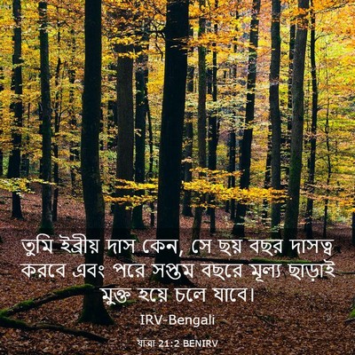 Picture 03 - যাত্ৰা 21:2 BENIRV - তুমি ইব্রীয় দাস - Bible Verse Picture