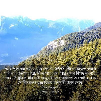 Picture 03 - যাত্ৰা 21:22 BENIRV - আর পুরুষেরা লড়াই - Bible Verse Picture
