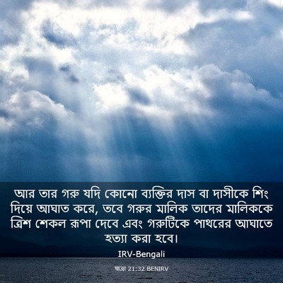 Picture 03 - যাত্ৰা 21:32 BENIRV - আর তার গরু যদি কোনো - Bible Verse Picture