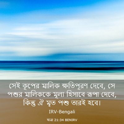 Picture 03 - যাত্ৰা 21:34 BENIRV - সেই কূপের মালিক - Bible Verse Picture