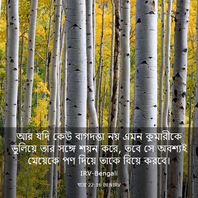 Picture 03 - যাত্ৰা 22:16 BENIRV - আর যদি কেউ - Bible Verse Picture