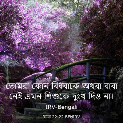 Picture 03 - যাত্ৰা 22:22 BENIRV - তোমরা কোন বিধবাকে - Bible Verse Picture