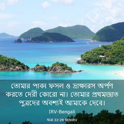Picture 03 - যাত্ৰা 22:29 BENIRV - তোমার পাকা ফসল ও - Bible Verse Picture