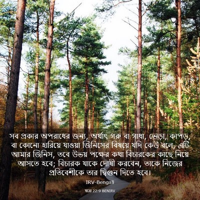 Picture 03 - যাত্ৰা 22:9 BENIRV - সব প্রকার অপরাধের - Bible Verse Picture