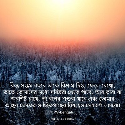 Picture 03 - যাত্ৰা 23:11 BENIRV - কিন্তু সপ্তম বছরে - Bible Verse Picture