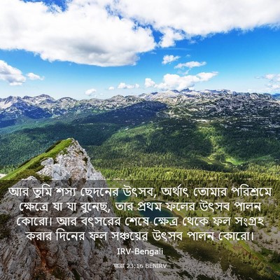 Picture 03 - যাত্ৰা 23:16 BENIRV - আর তুমি শস্য - Bible Verse Picture