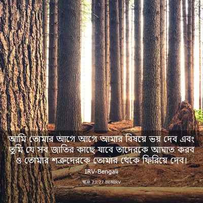 Picture 03 - যাত্ৰা 23:27 BENIRV - আমি তোমার আগে আগে - Bible Verse Picture