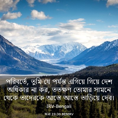 Picture 03 - যাত্ৰা 23:30 BENIRV - পরিবর্তে, তুমি যে - Bible Verse Picture