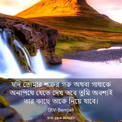 Picture 03 - যাত্ৰা 23:4 BENIRV - যদি তোমার শত্রুর - Bible Verse Picture