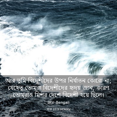 Picture 03 - যাত্ৰা 23:9 BENIRV - আর তুমি বিদেশীদের - Bible Verse Picture