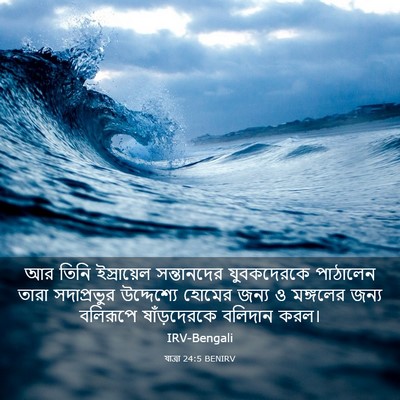 Picture 03 - যাত্ৰা 24:5 BENIRV - আর তিনি ইস্রায়েল - Bible Verse Picture