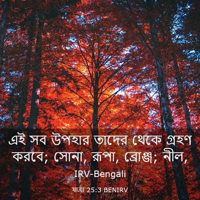 Picture 03 - যাত্ৰা 25:3 BENIRV - এই সব উপহার তাদের - Bible Verse Picture