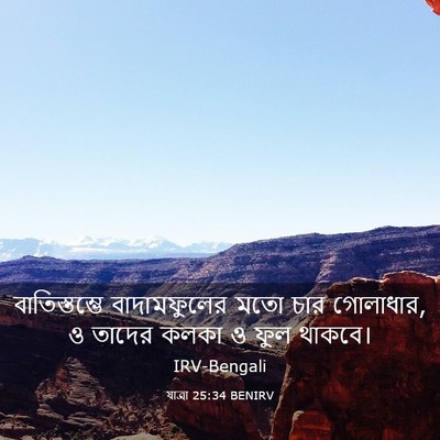 Picture 03 - যাত্ৰা 25:34 BENIRV - বাতিস্তম্ভে - Bible Verse Picture