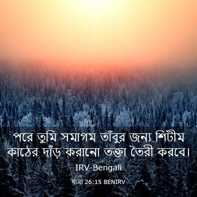Picture 03 - যাত্ৰা 26:15 BENIRV - পরে তুমি সমাগম - Bible Verse Picture