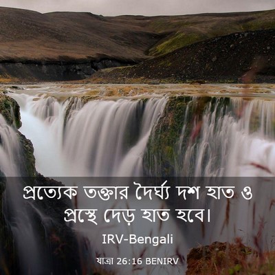 Picture 03 - যাত্ৰা 26:16 BENIRV - প্রত্যেক তক্তার - Bible Verse Picture