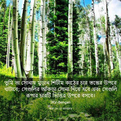 Picture 03 - যাত্ৰা 26:32 BENIRV - তুমি তা সোনায় - Bible Verse Picture
