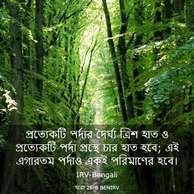 Picture 03 - যাত্ৰা 26:8 BENIRV - প্রত্যেকটি পর্দার - Bible Verse Picture