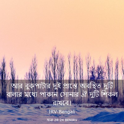 Picture 03 - যাত্ৰা 28:24 BENIRV - আর বুকপাটার দুই - Bible Verse Picture