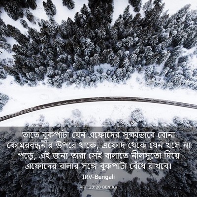 Picture 03 - যাত্ৰা 28:28 BENIRV - তাতে বুকপাটা যেন - Bible Verse Picture
