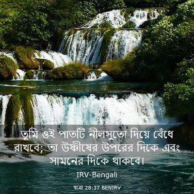 Picture 03 - যাত্ৰা 28:37 BENIRV - তুমি ওই পাতটি - Bible Verse Picture