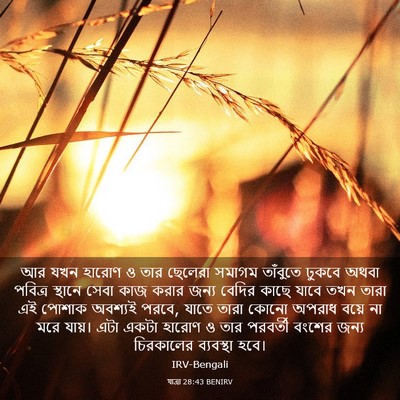 Picture 03 - যাত্ৰা 28:43 BENIRV - আর যখন হারোণ ও তার - Bible Verse Picture